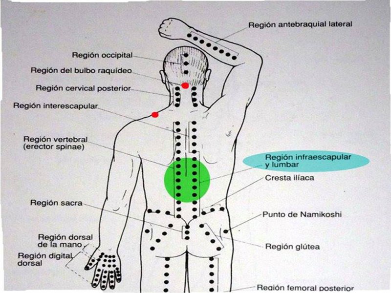 Shiatsu Terapia (Digitopuntura)