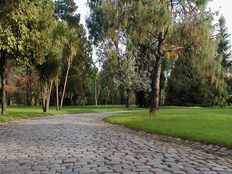 Cementerio Privado La Arbolada